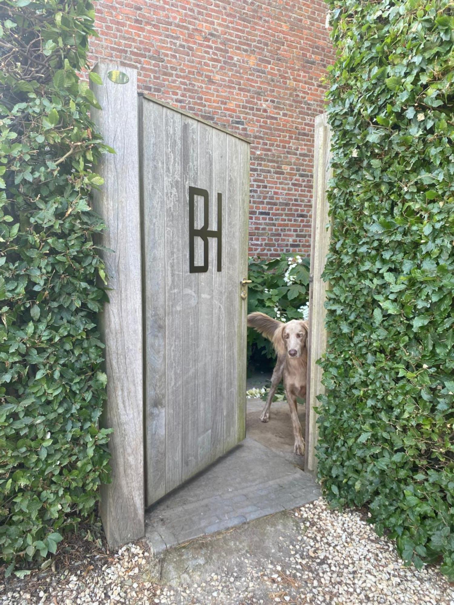 Bulsomhuys Guesthouse Kampenhout Kültér fotó
